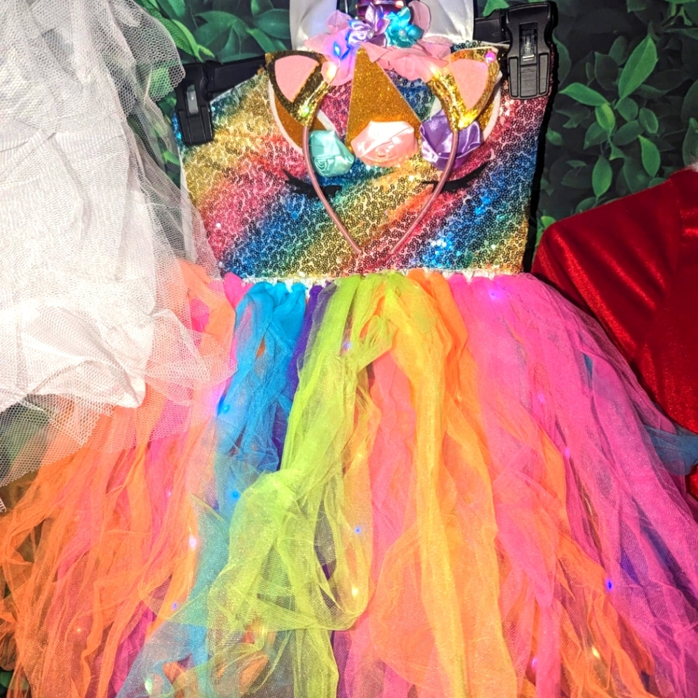 Santa 🧑‍🎄costume, Unicorn 🦄Costume and petticoat puff skirt.